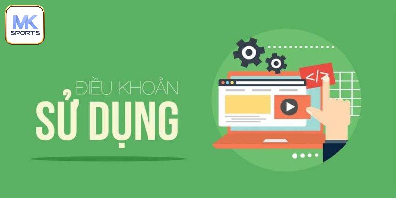 Điều khoản sử dụng trong thanh toán