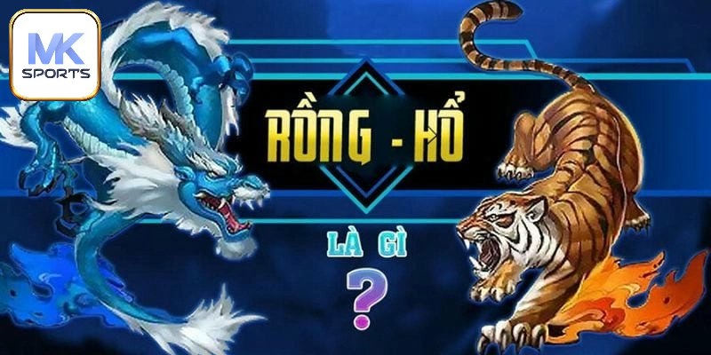 Một số thông tin về rồng hổ