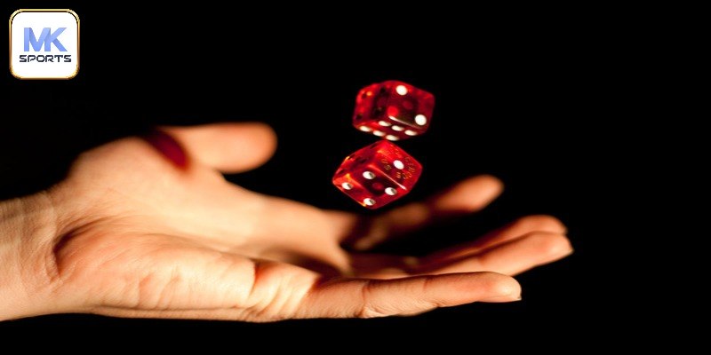 Vài điều cần chú khi tham gia trải nghiệm